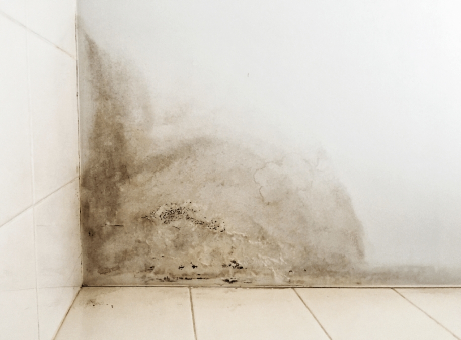 Humidité cave Daumus — free download