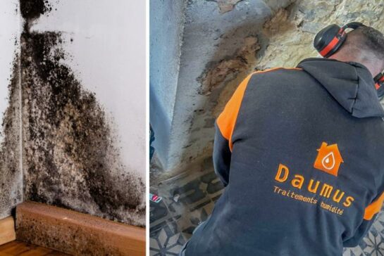 Ils parlent de nous !